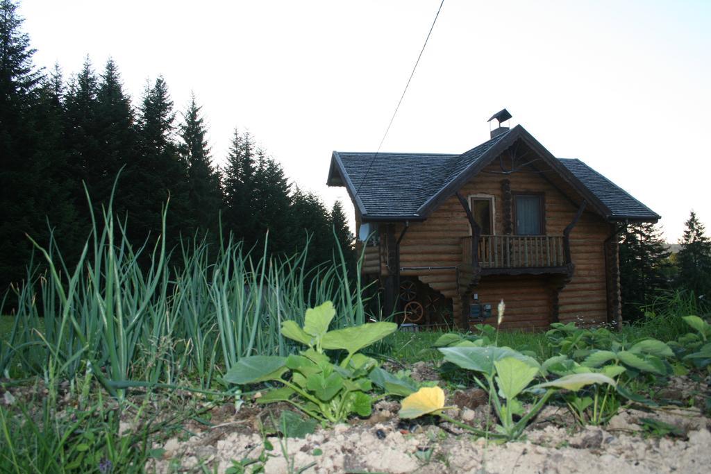 Sadyba Drymba Skhidnytsia Exterior photo